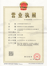 營業執照成功辦(bàn)理(lǐ)
